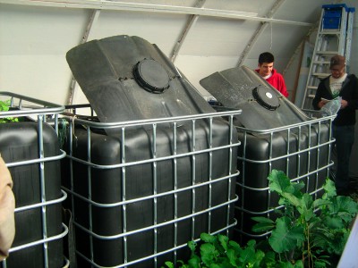 Diy Aquaponics Dvd Download