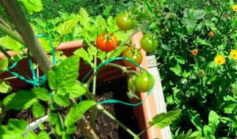 100-mile-meal-community-discussion-robin-des-bois