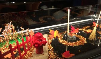 atelier-de-joel-robuchon-montreal-2