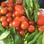 garden-2019-4
